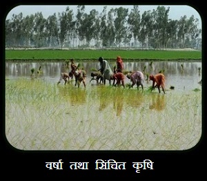 जल संसाधन