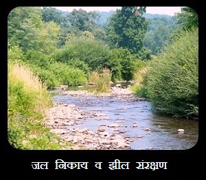 विद्युत